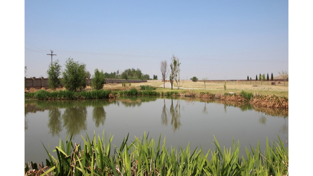 pond-within-estate
