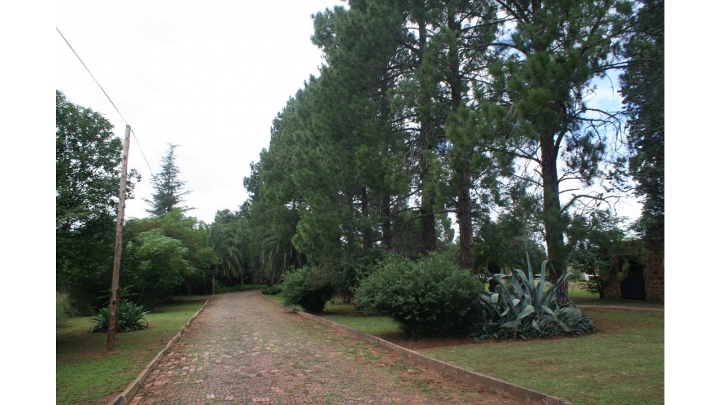 drive-way