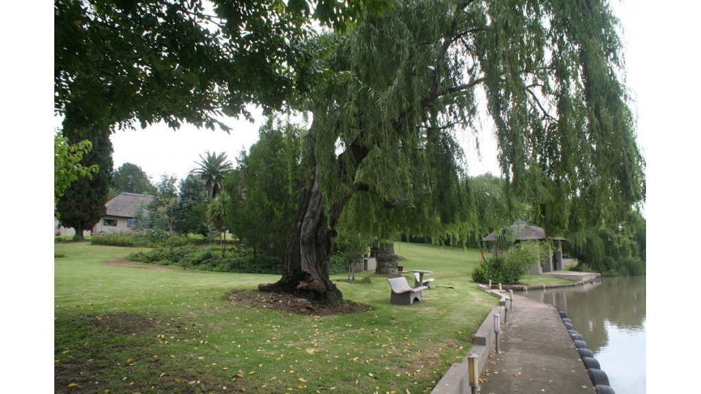 river-front-view